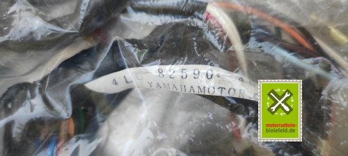 IMG_20230824_132649